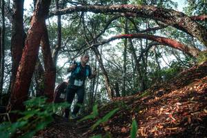 BIB: 
                            <button type="button" onclick="openModal(26344308)" class="btn btn-primary btn-sm float-right btn-popup" data-toggle="modal" data-target=".modal-high-quality">
                        <i class="fas fa-shopping-cart"></i> Add to Cart
                    </button>
                                            <button type="button" onclick="isThisMe(26344308, true)" class="btn btn-success btn-sm float-right btn-popup btn-isme hidden" data-toggle="tooltip" data-placement="bottom" title="นี่คือรูปของคุณใช่ไหม คลิกที่นี่เพื่อเอาเข้าอัลบั้ม">
                        <i class="fas fa-plus"></i> Add to album
                    </button>
                    <button type="button" onclick="isThisMe(26344308, false)" class="btn btn-warning btn-sm float-right btn-popup btn-isnotme hidden">
                        <i class="fas fa-ban"></i> Remove from album
                    </button>